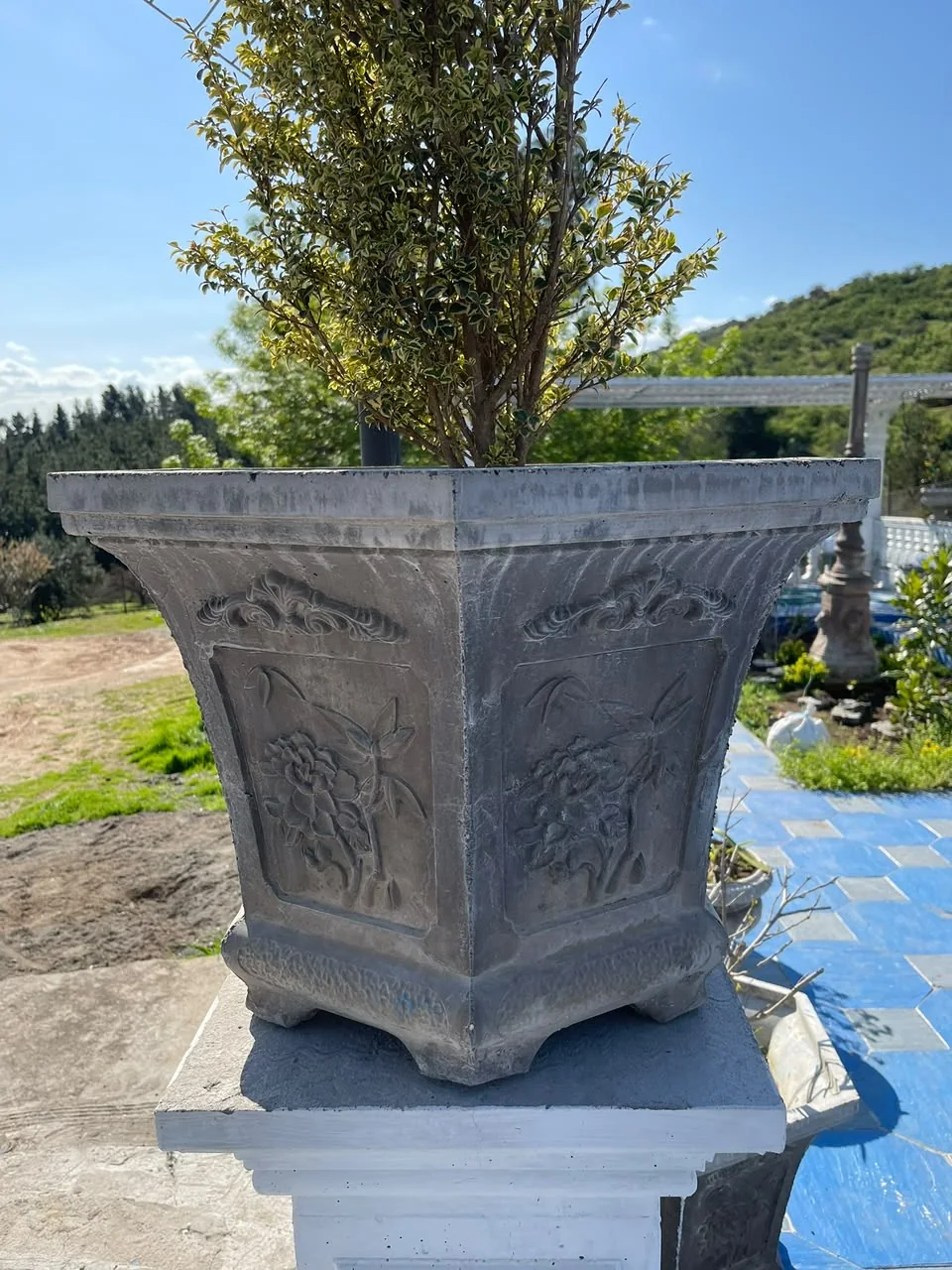 Macetero ornamental con árbol